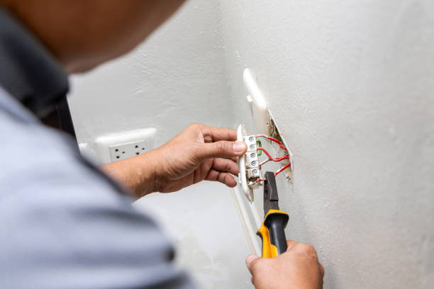 Best Electric Panel Repair  in North Riverside, IL